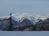 ������������ ���� - ������ ��� ����������